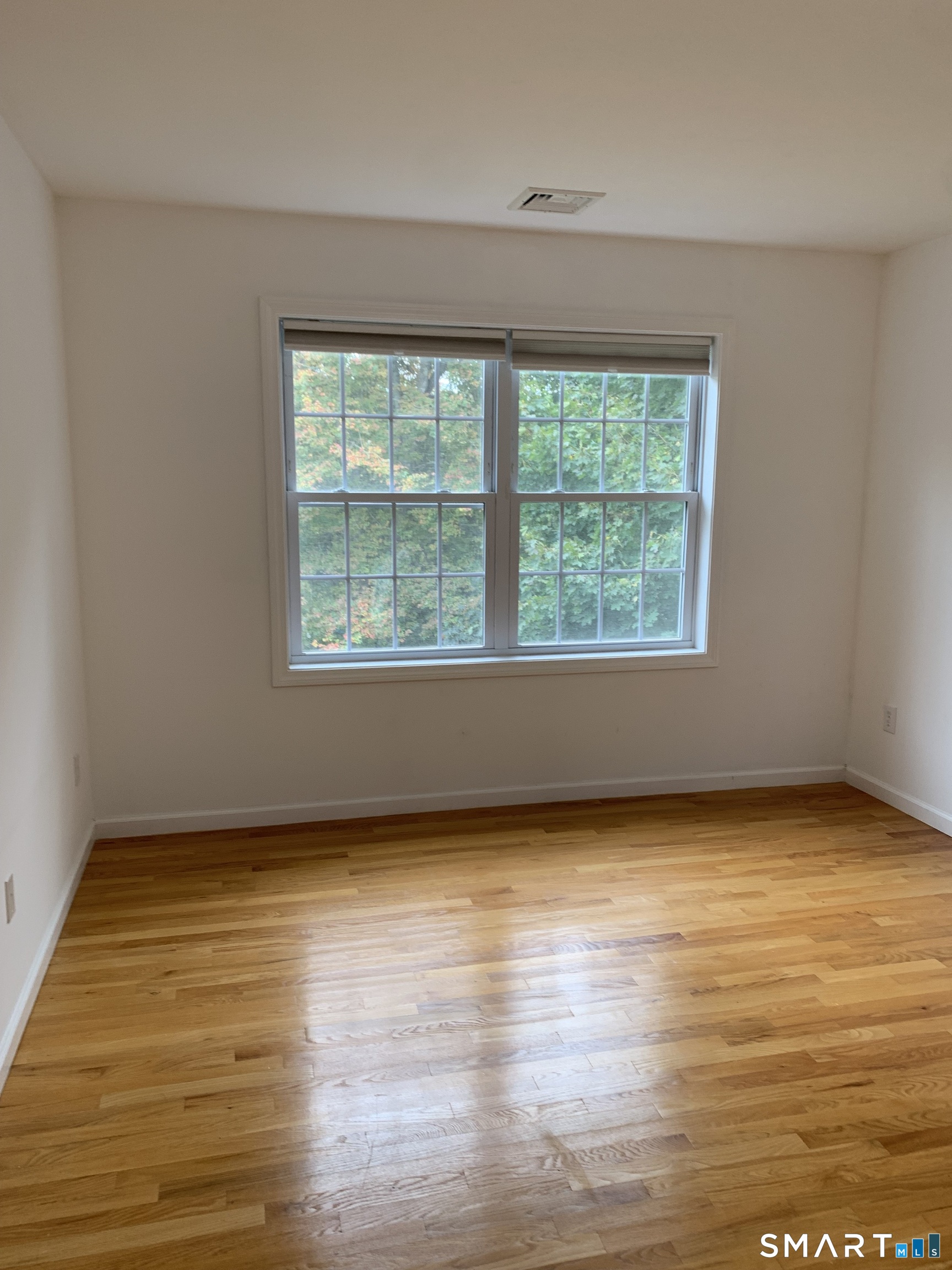 143 Hewitt Road Property Photo 28