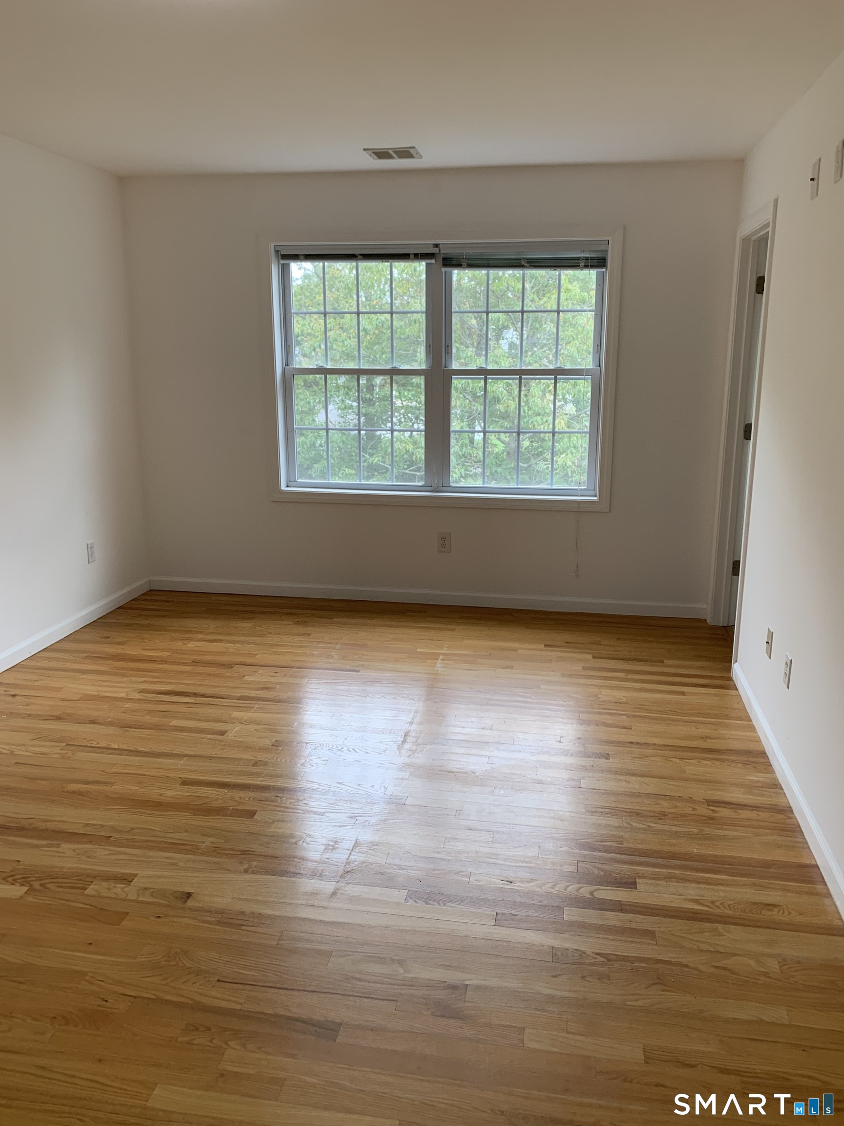 143 Hewitt Road Property Photo 29
