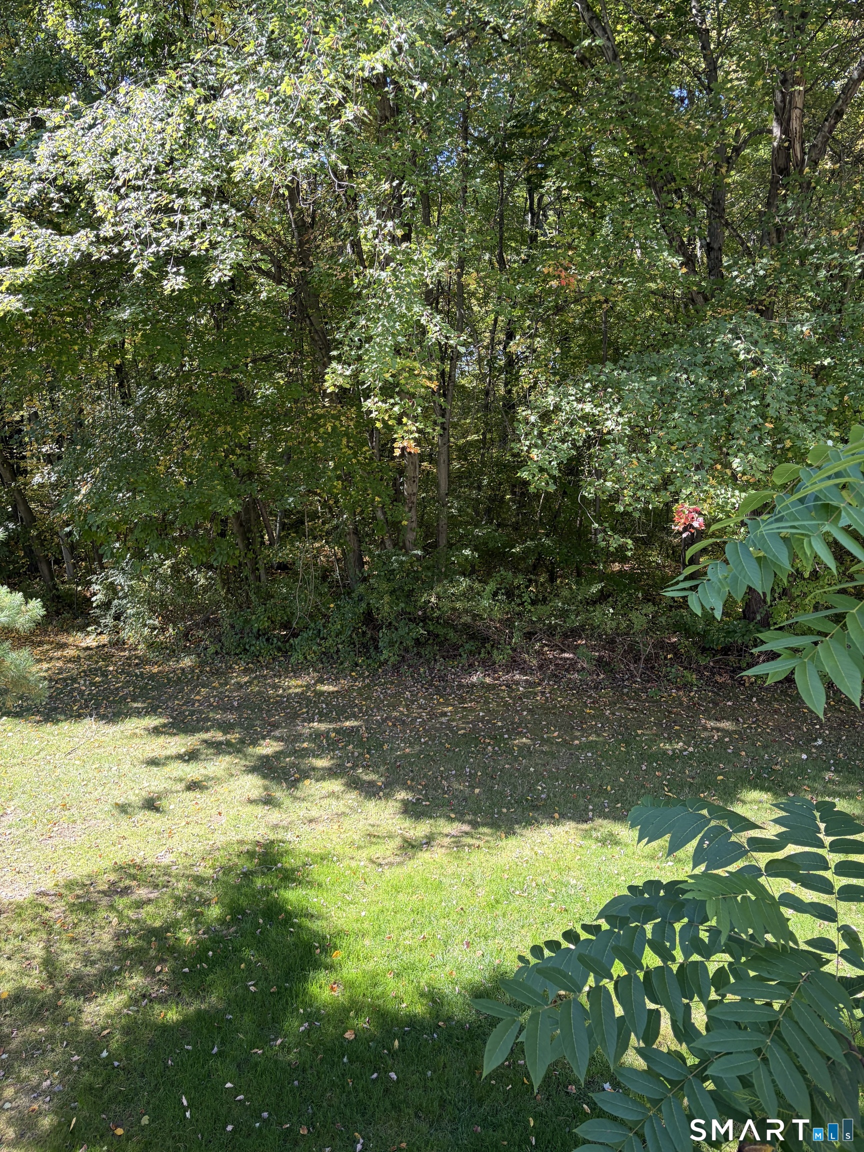 27 Tamarack 27 Drive Property Photo 23