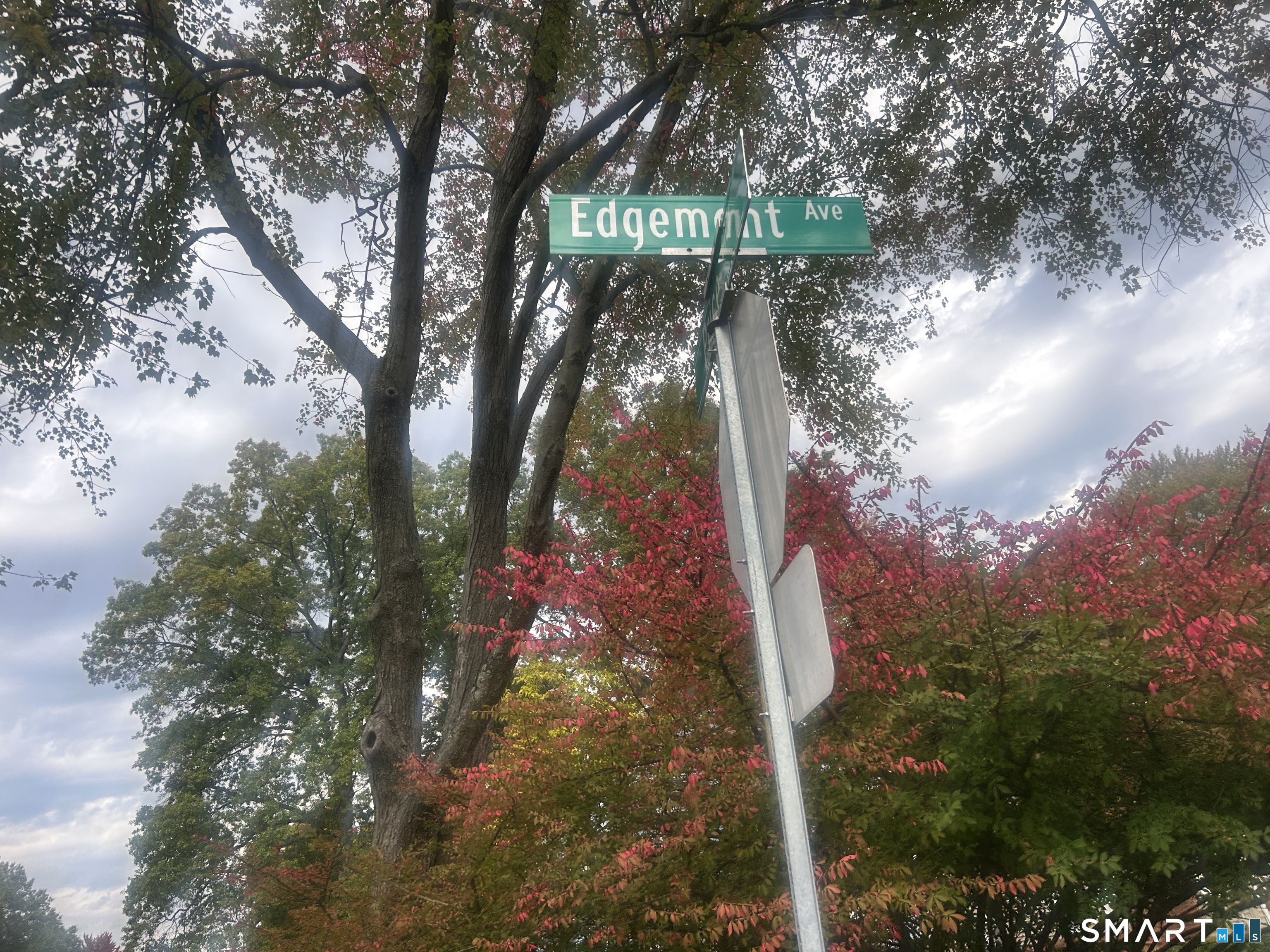 58 Edgemont Avenue Property Photo 8