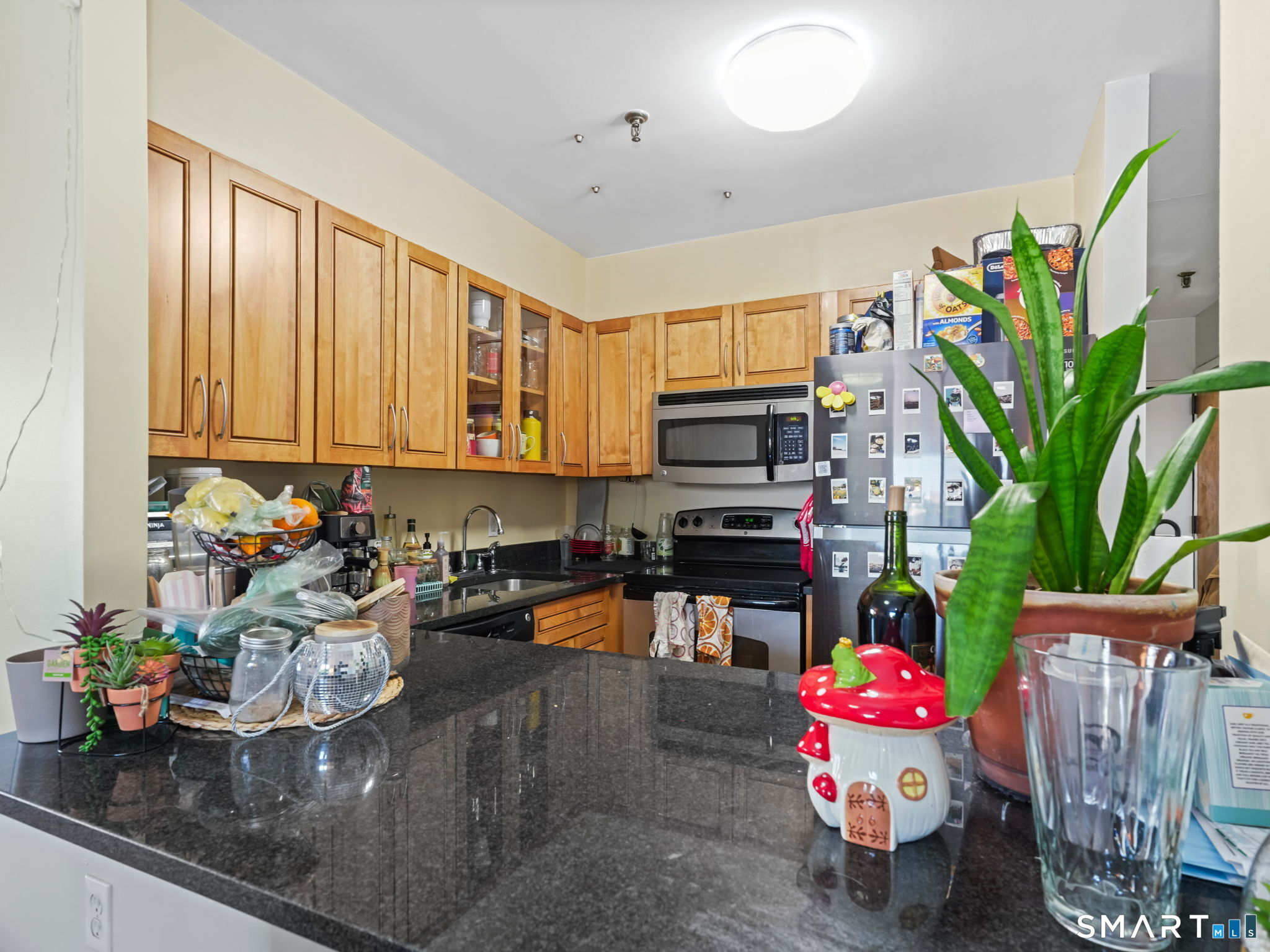 51 Schuyler 5c Avenue Property Photo 8