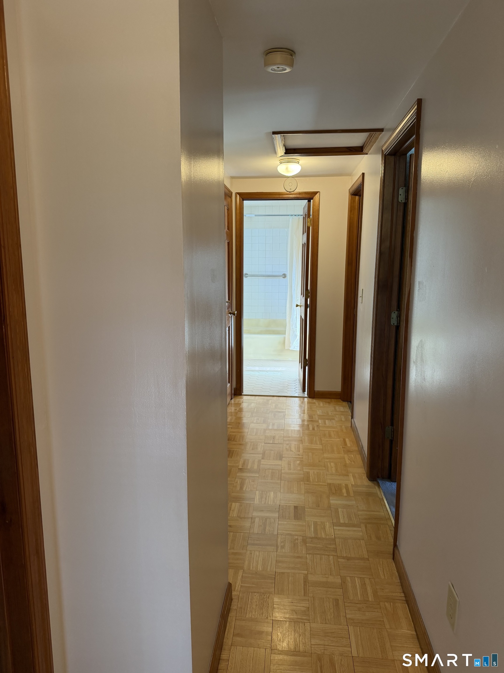 48 Barraclough Avenue Property Photo 9