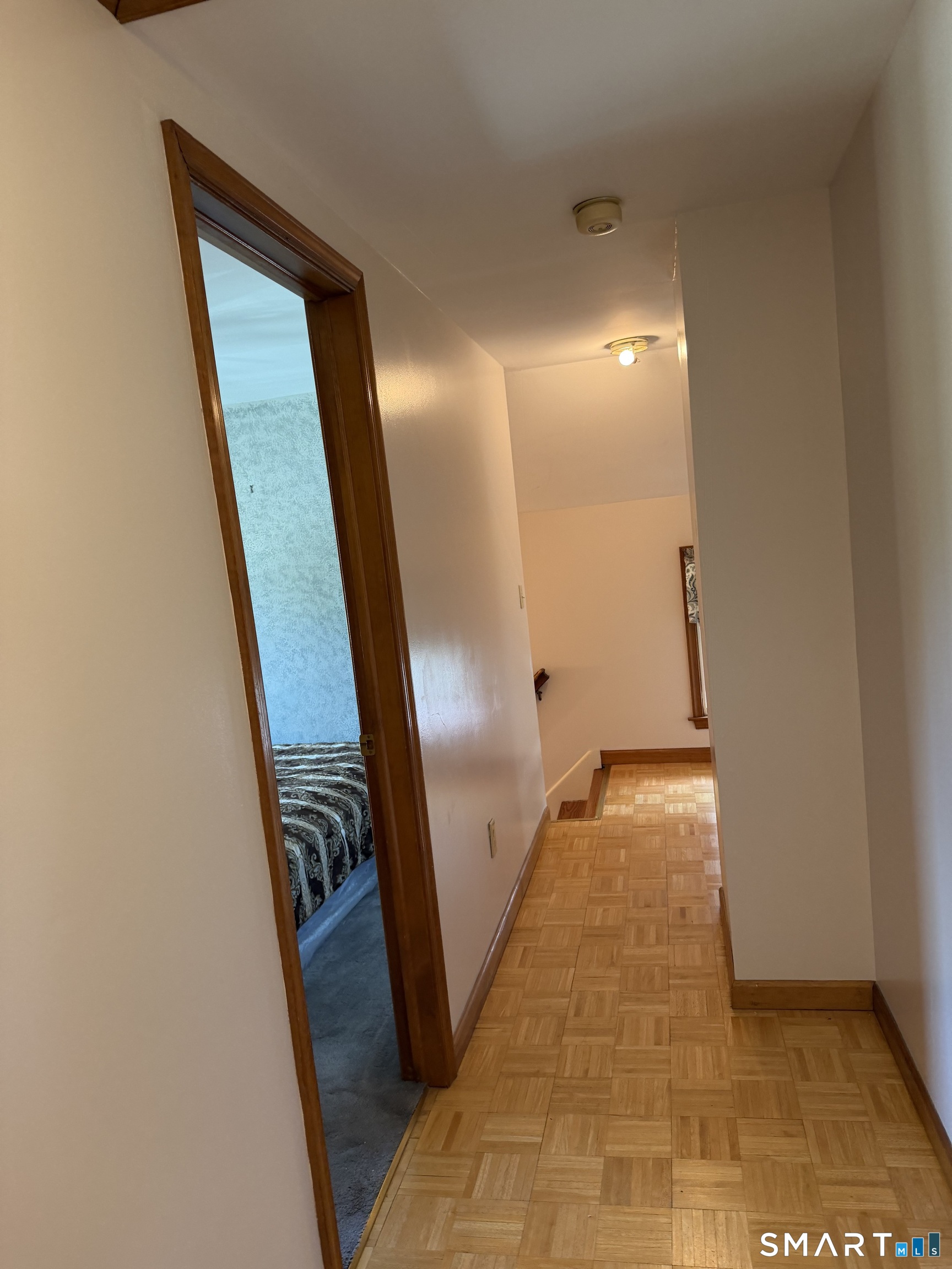 48 Barraclough Avenue Property Photo 15