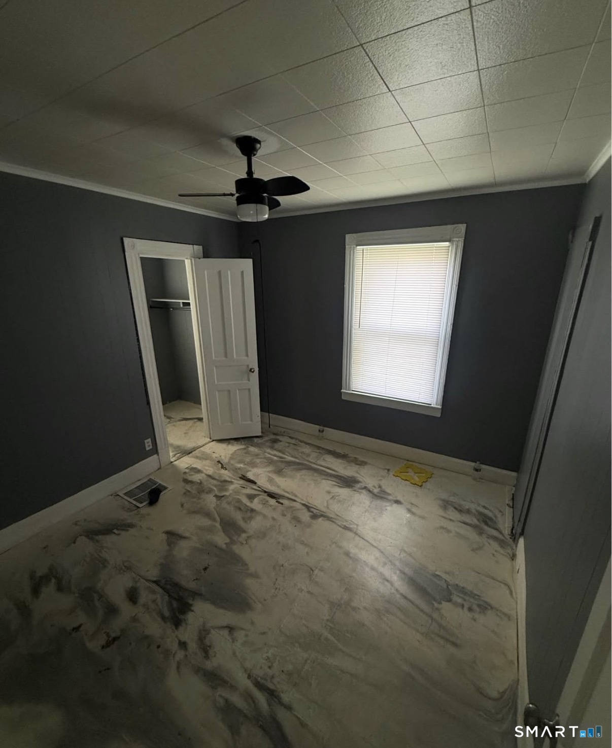 36 Hawkins Street Property Photo 7