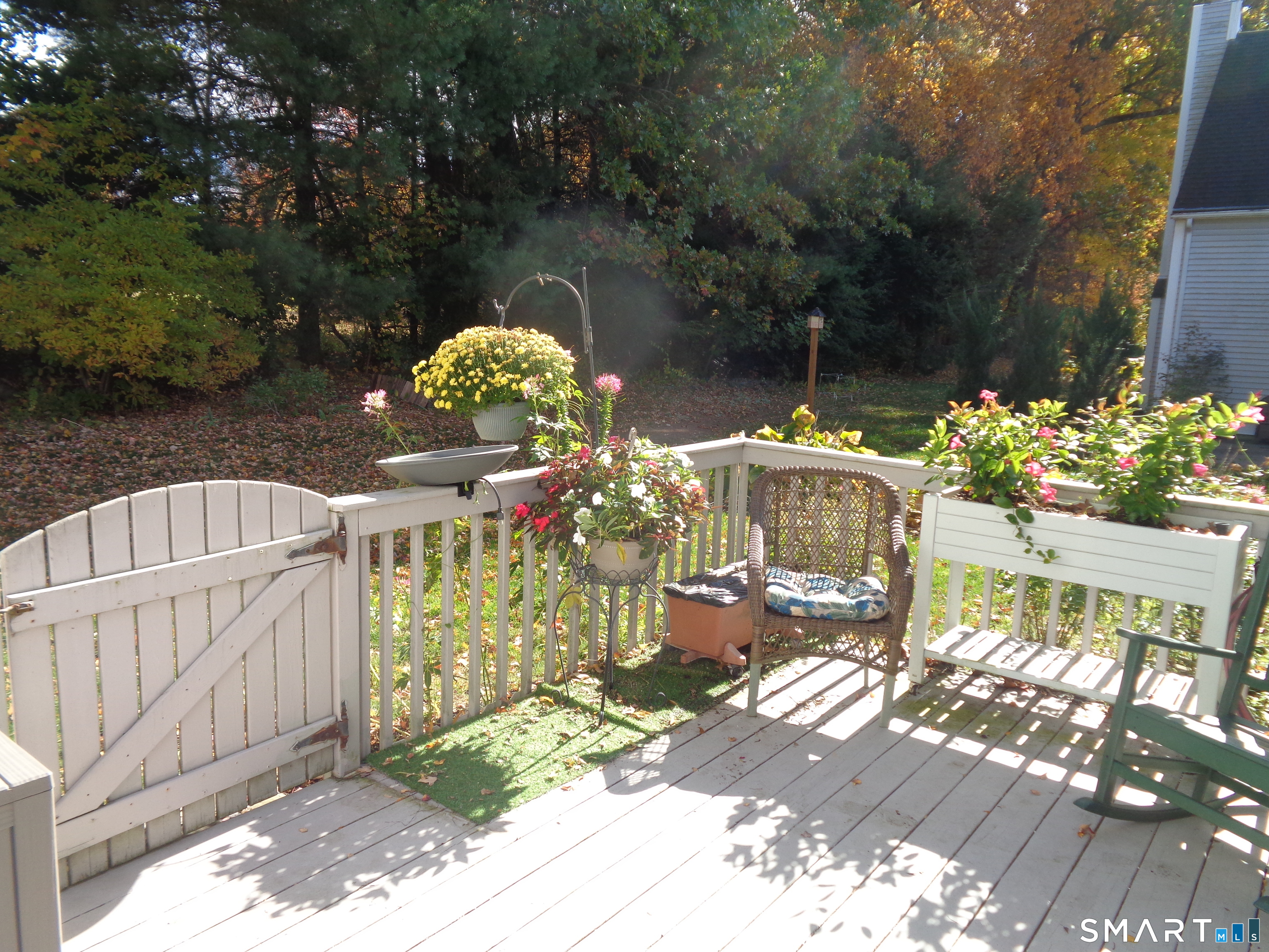 171 Deer Run Trail Property Photo 19