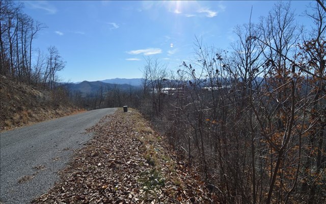 Lot 60m Mountain Harbour Property Photo 3