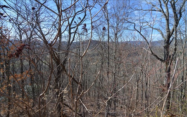 Lot 60m Mountain Harbour Property Photo 5