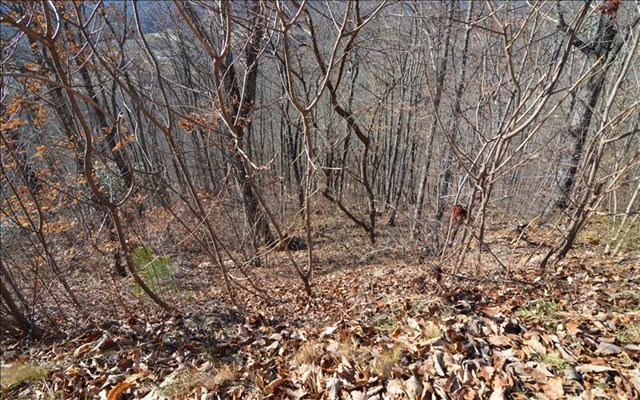 Lot 60m Mountain Harbour Property Photo 7