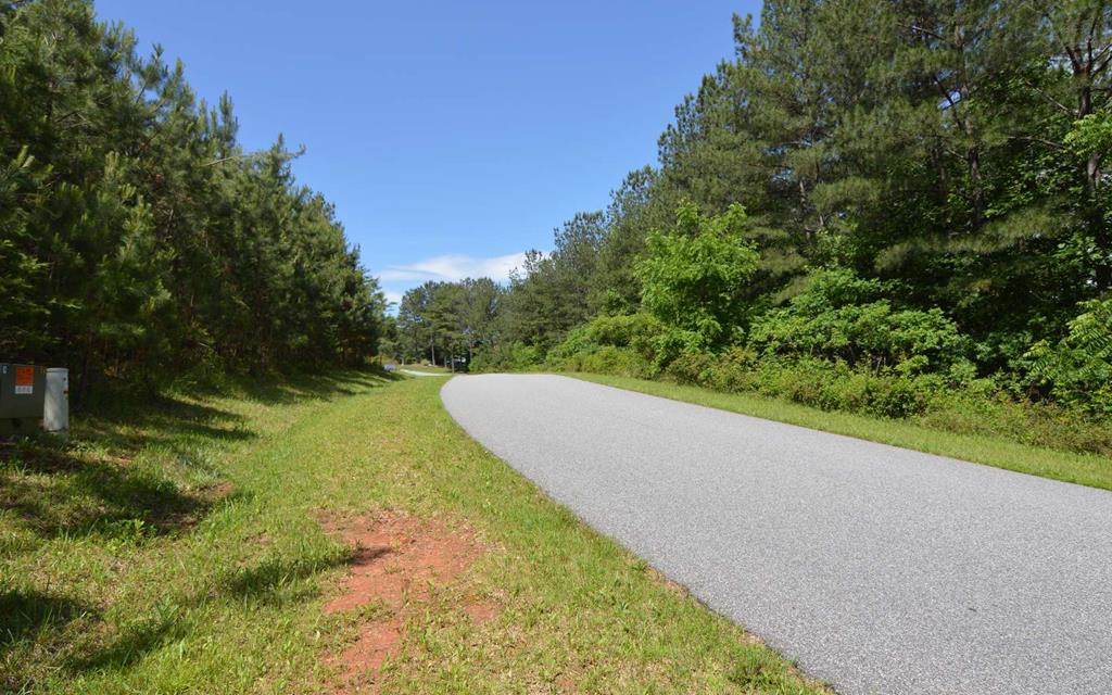 Lot 14 Loftis Mountain Property Photo