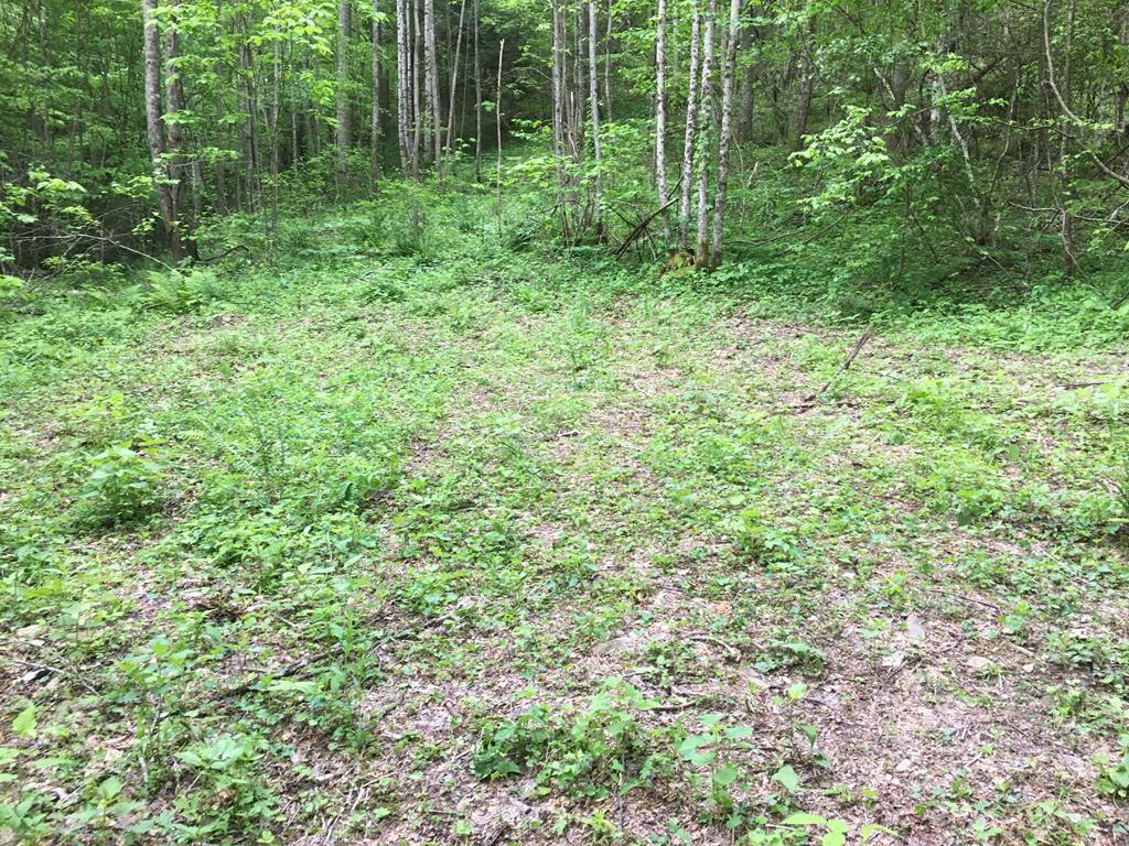 790 Anderson Creek Property Photo
