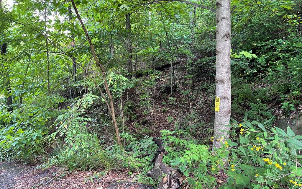 3022 Jump Off Ridge Property Photo