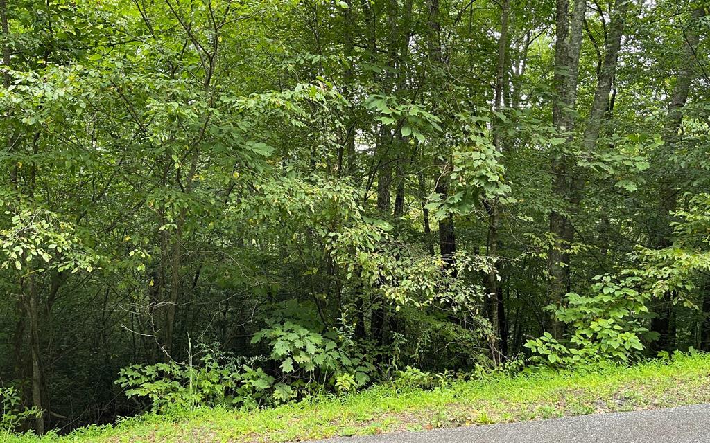 Lot 7 Bear Trail Property Photo