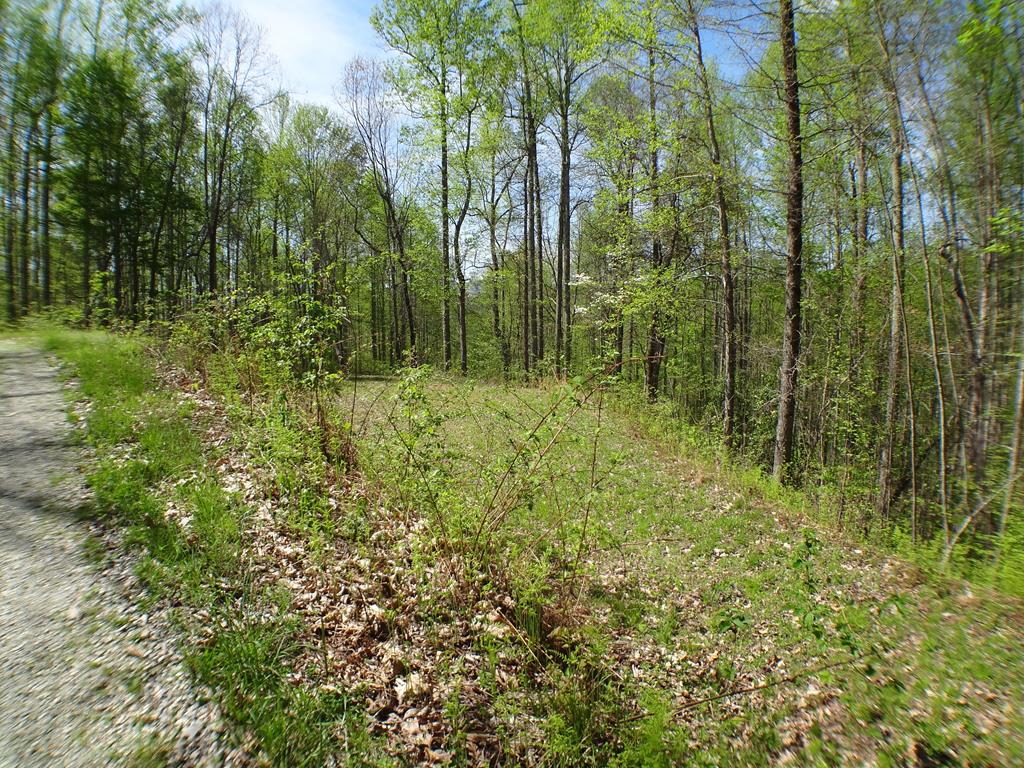 Lot 6&7 Deweese Rd Property Photo 1