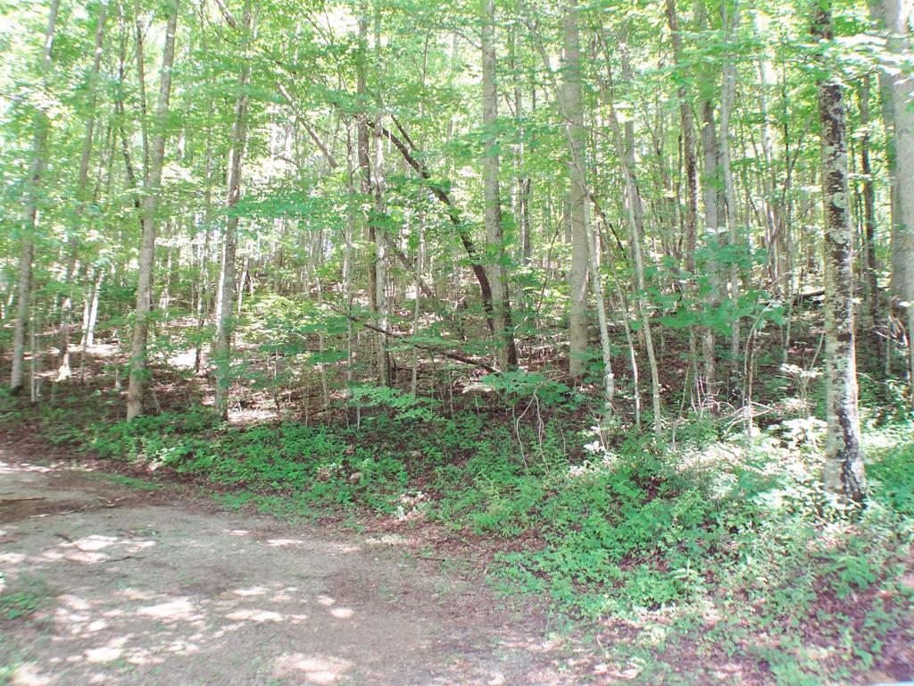 Lot #8 Deweese Road Property Photo 1