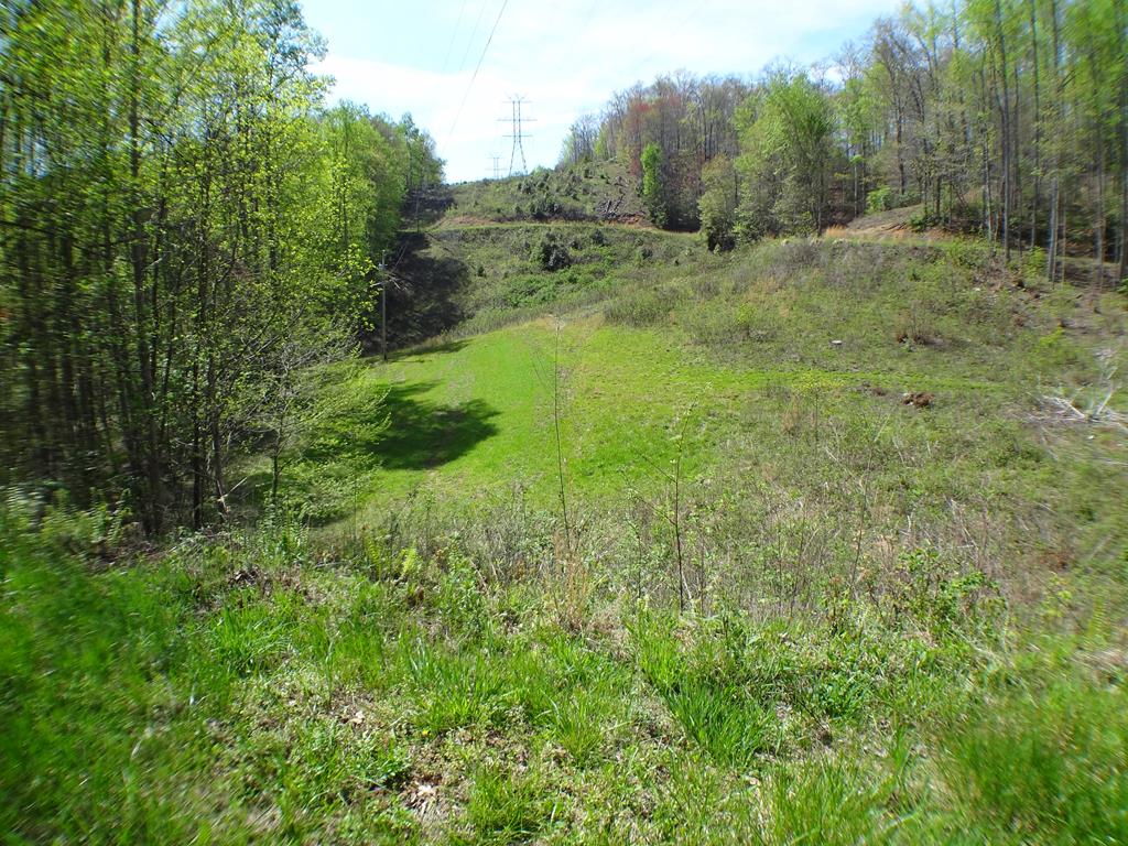 Lot10&11 Deweese Rd Property Photo 1