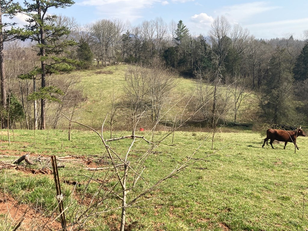 227 Siler Road Property Photo 9