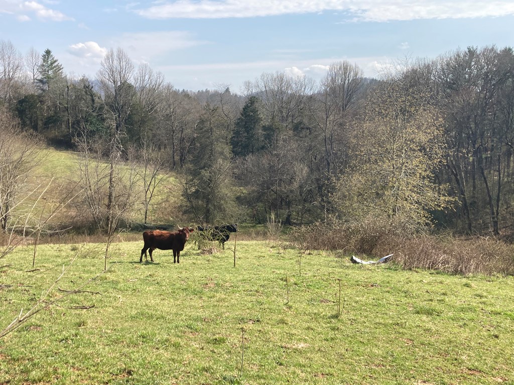 227 Siler Road Property Photo 12