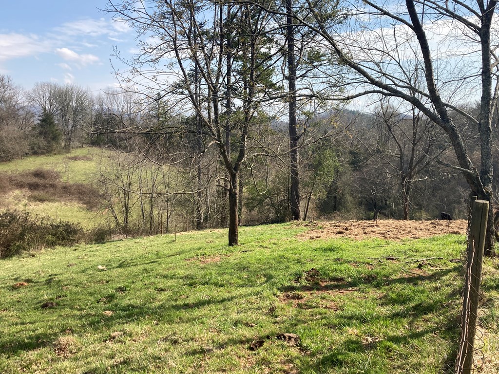 227 Siler Road Property Photo 14