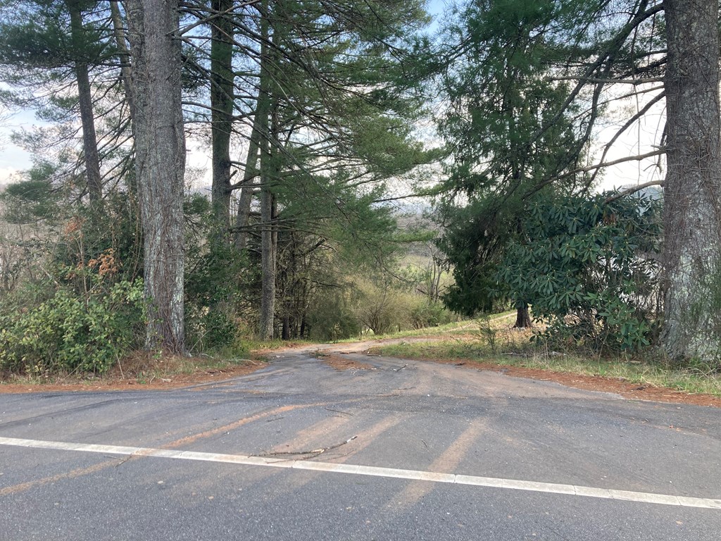 227 Siler Road Property Photo 16