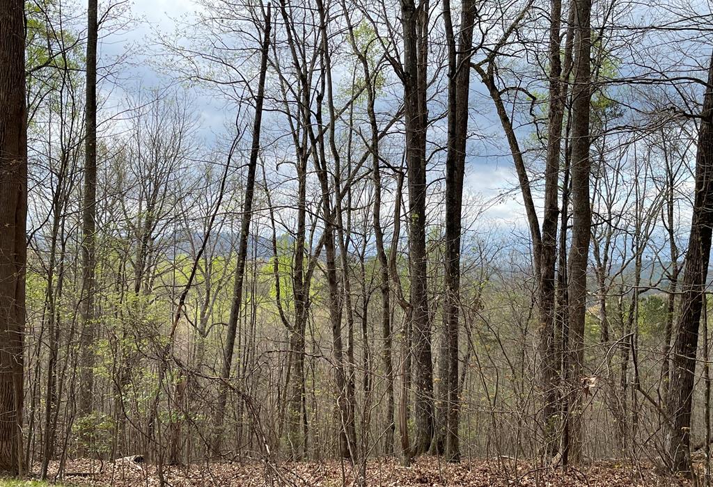 Lot 9B Grandview Drive Property Photo 1