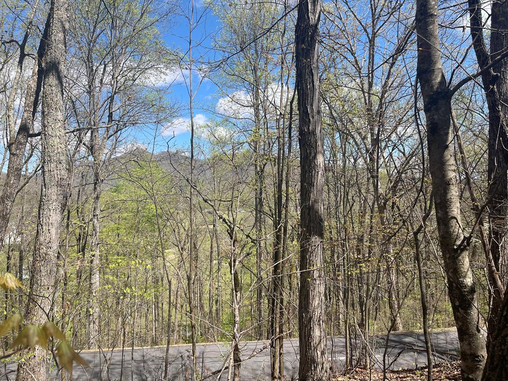 Lot 31a Mountain Harbour Drive Property Photo 1