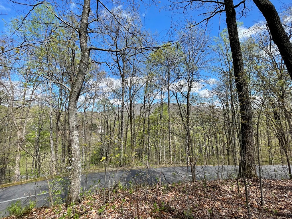 Lot 31a Mountain Harbour Drive Property Photo 3