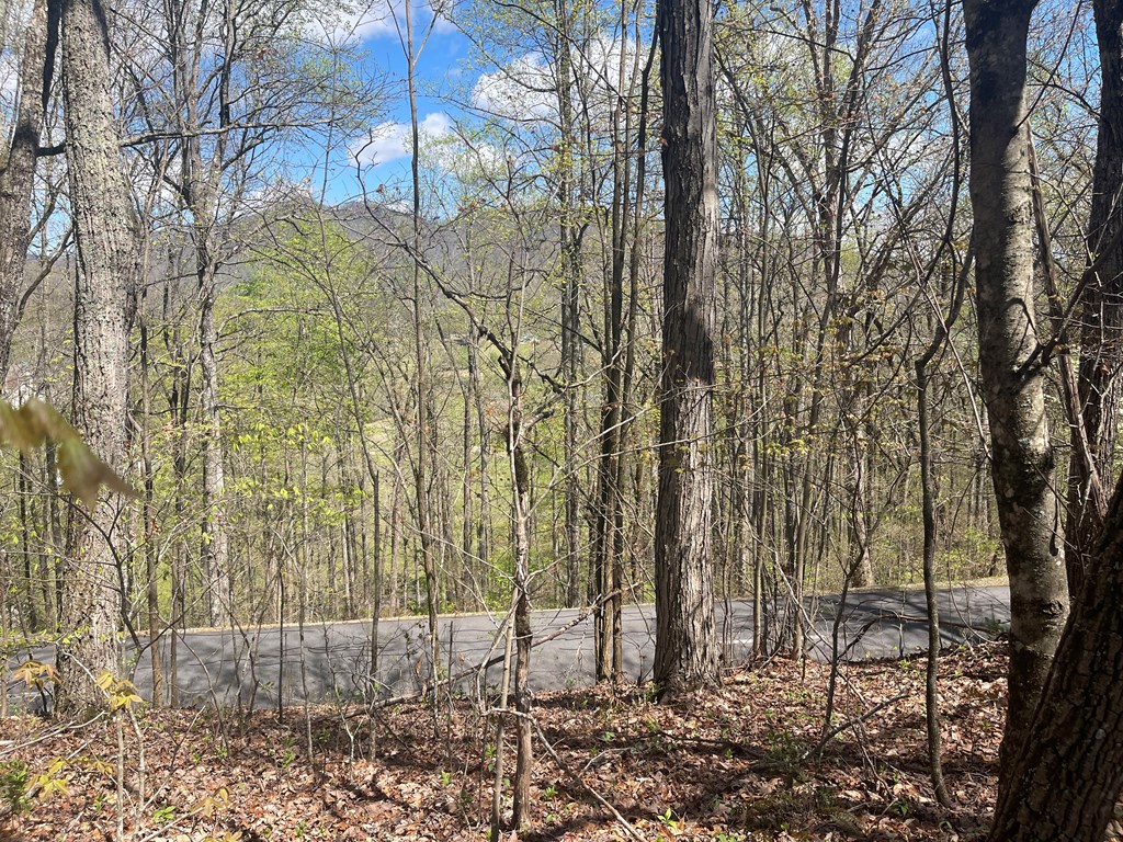 Lot 31a Mountain Harbour Drive Property Photo 4