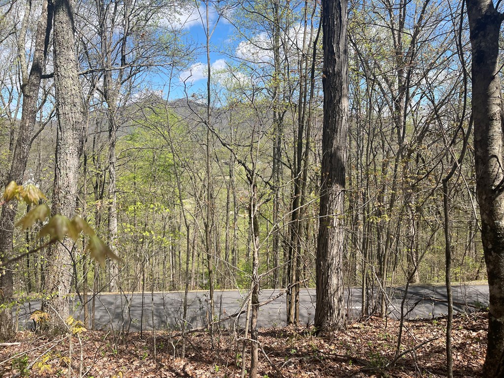 Lot 31a Mountain Harbour Drive Property Photo 5