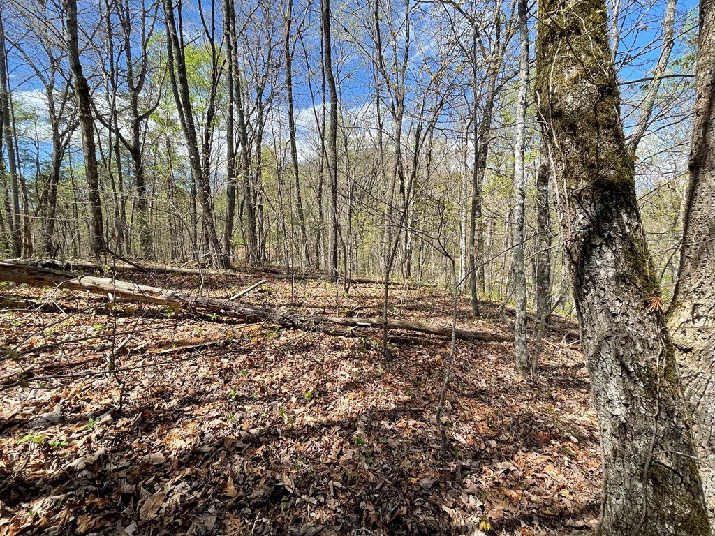 Lot 31a Mountain Harbour Drive Property Photo 6