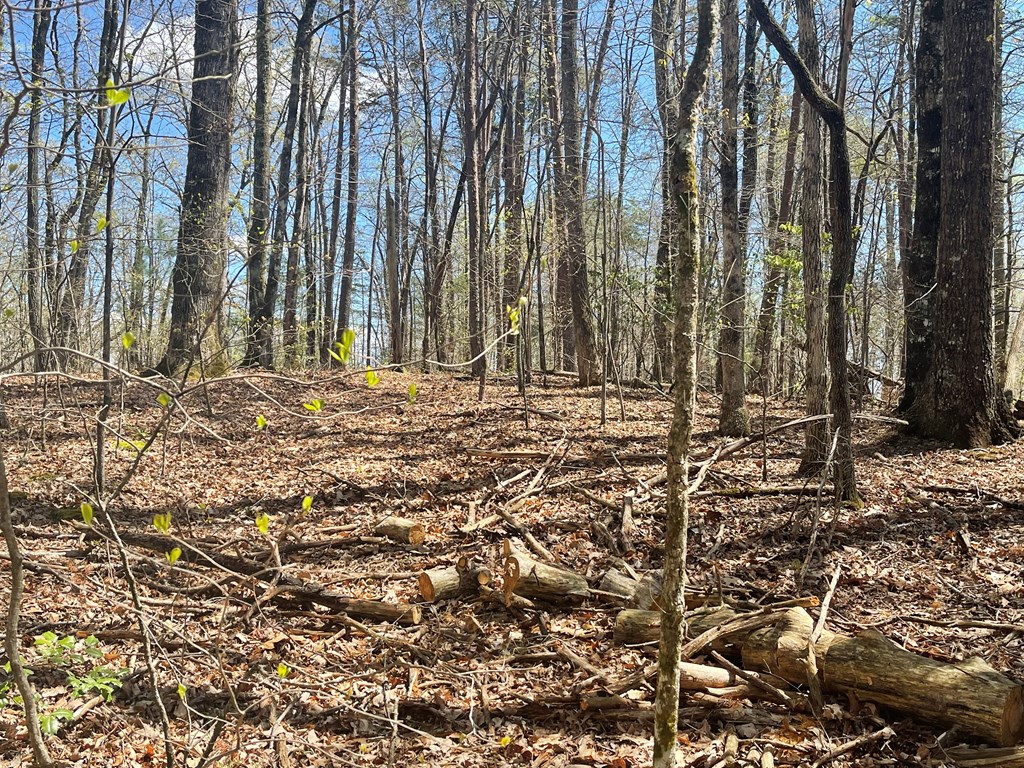 Lot 31a Mountain Harbour Drive Property Photo 8