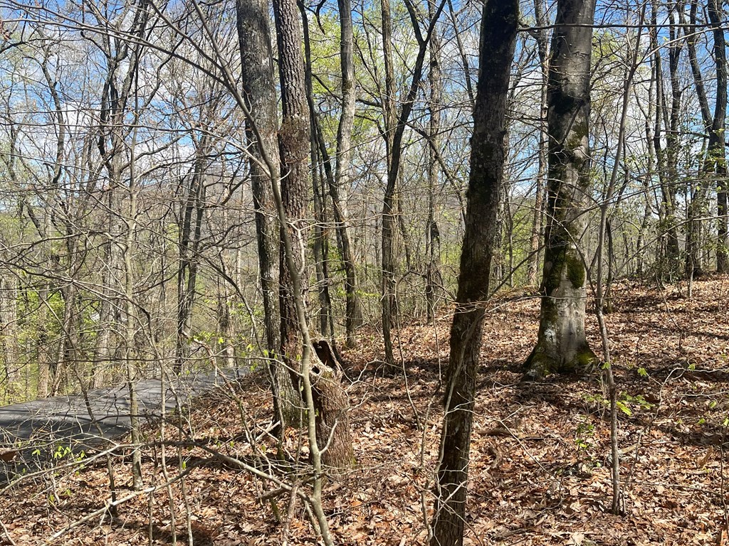 Lot 31a Mountain Harbour Drive Property Photo 9