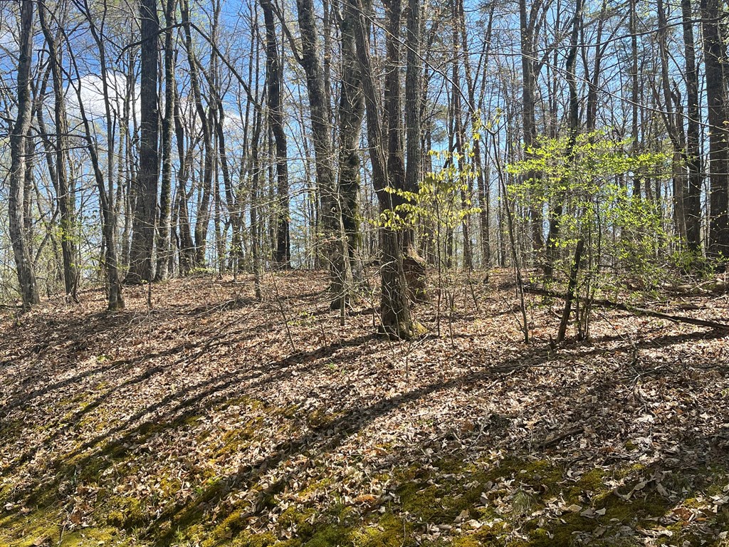 Lot 31a Mountain Harbour Drive Property Photo 10