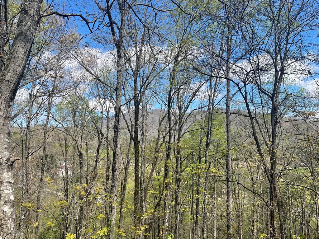 Lot 31a Mountain Harbour Drive Property Photo 11