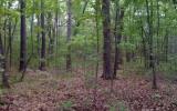 00 Lady Lane Property Photo 1