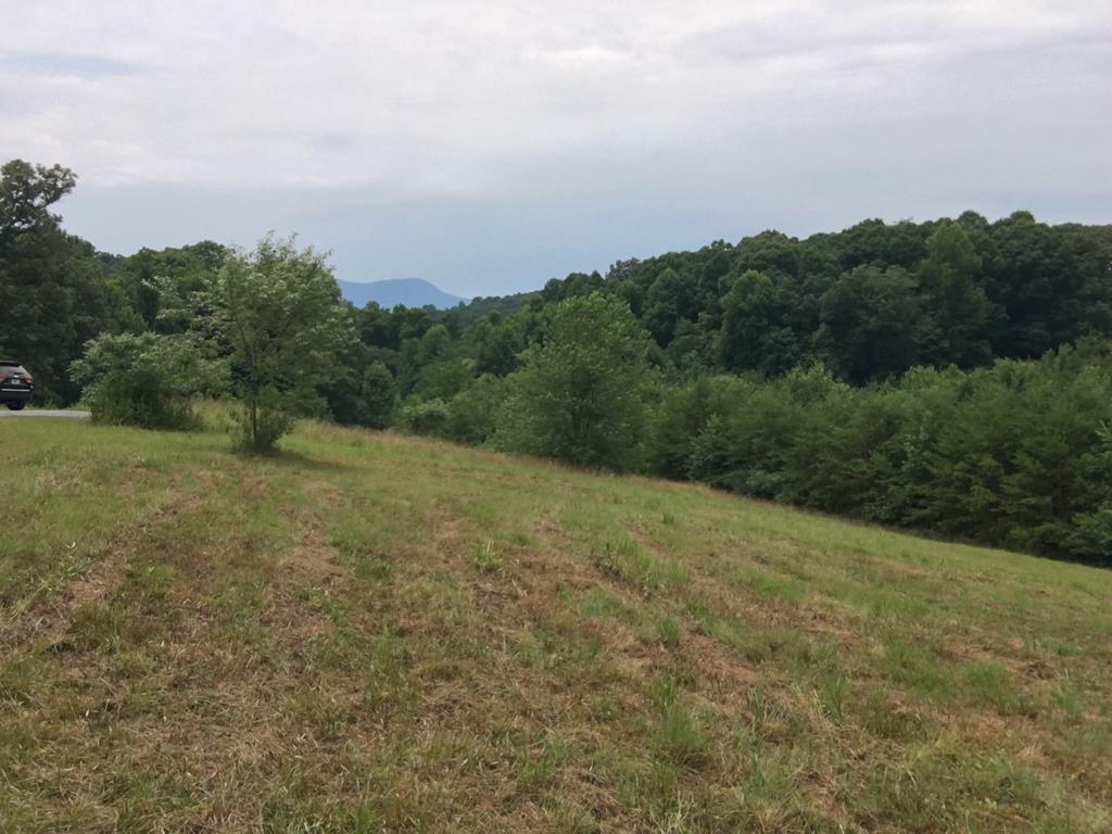 Lot 75 Minstead Ridge Property Photo 1