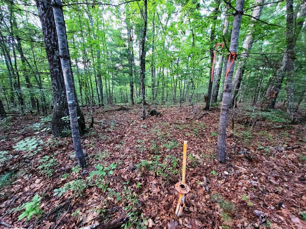 Lot 21 Rye Field Rd Property Photo 1