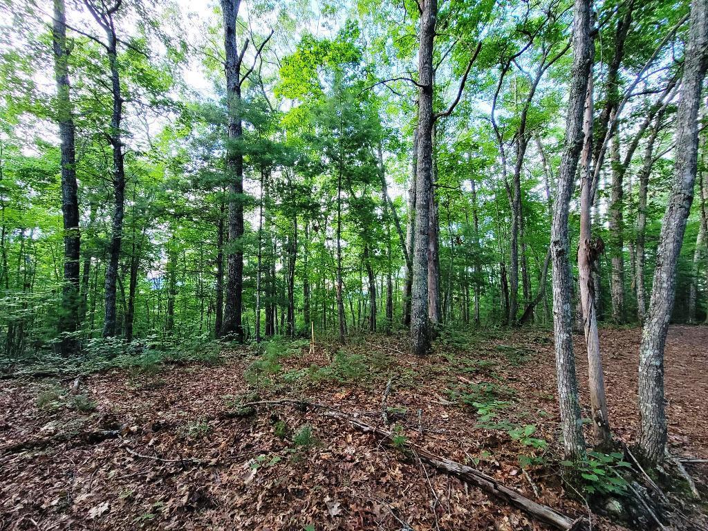 Lot 21 Rye Field Rd Property Photo 2