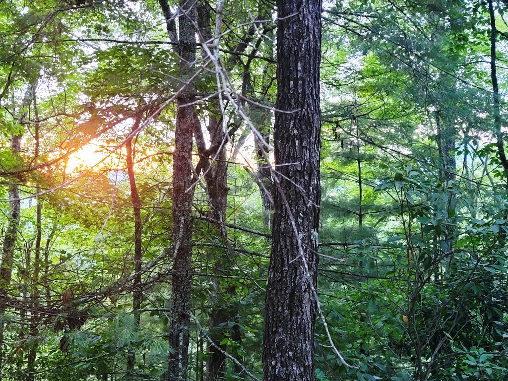 Lot 21 Rye Field Rd Property Photo 3