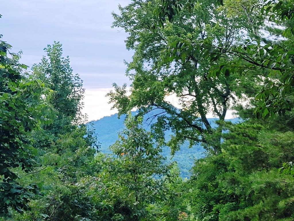 Lot 21 Rye Field Rd Property Photo 4