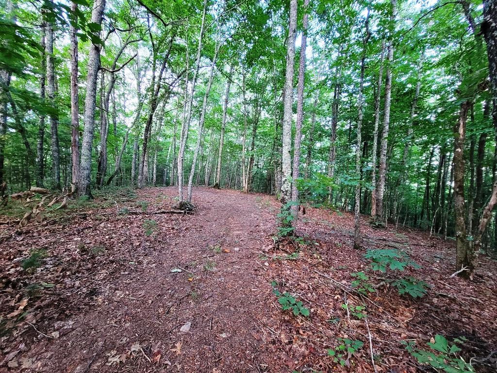 Lot 21 Rye Field Rd Property Photo 6