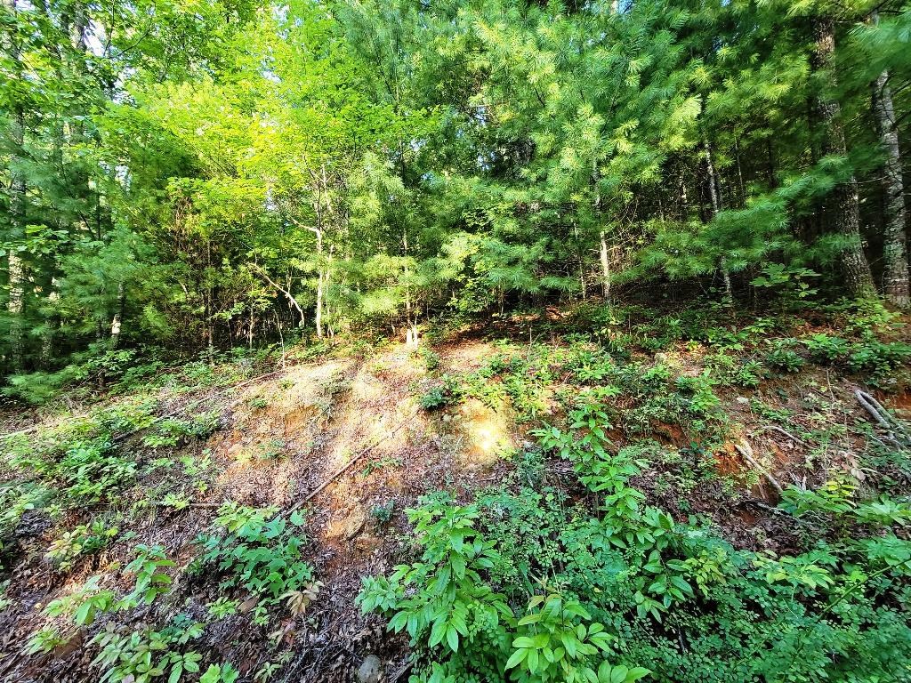 Lot 21 Rye Field Rd Property Photo 11