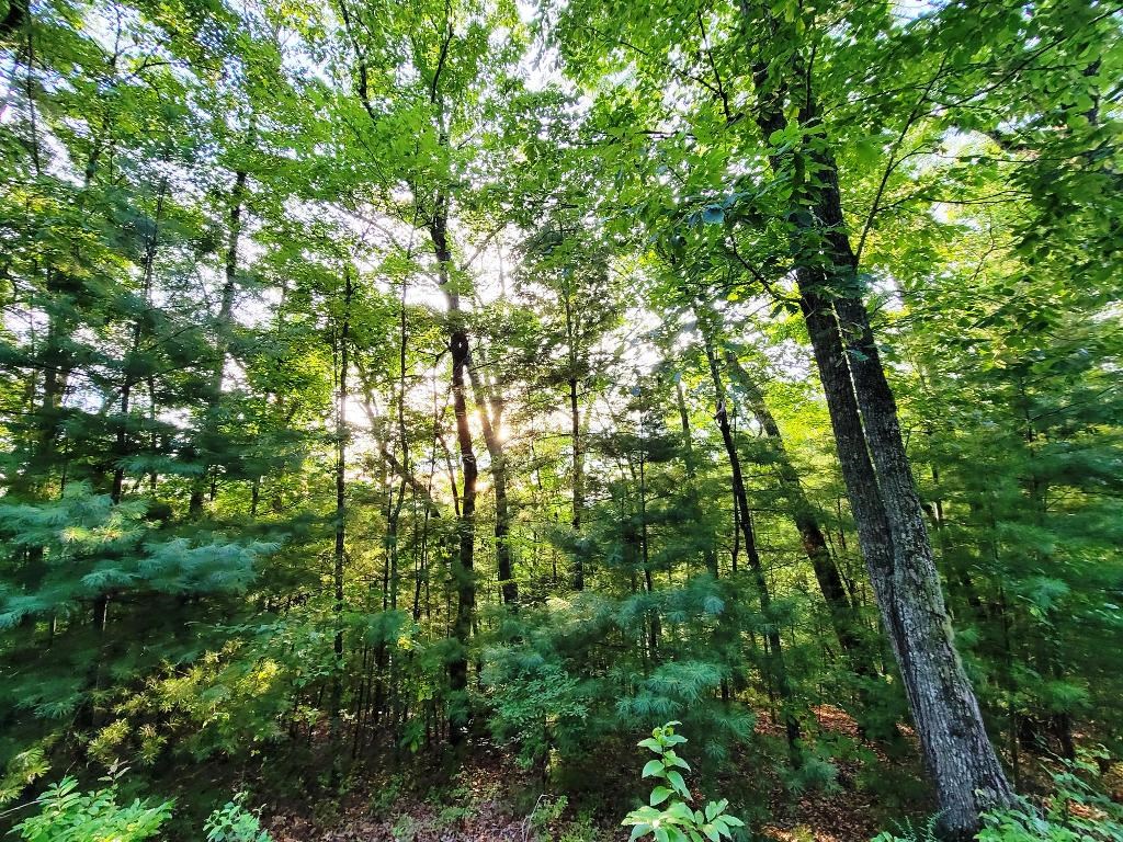 Lot 21 Rye Field Rd Property Photo 12