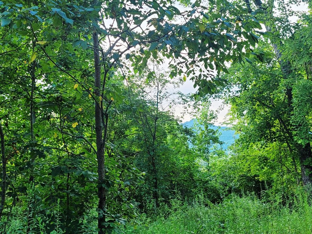 Lot 21 Rye Field Rd Property Photo 13