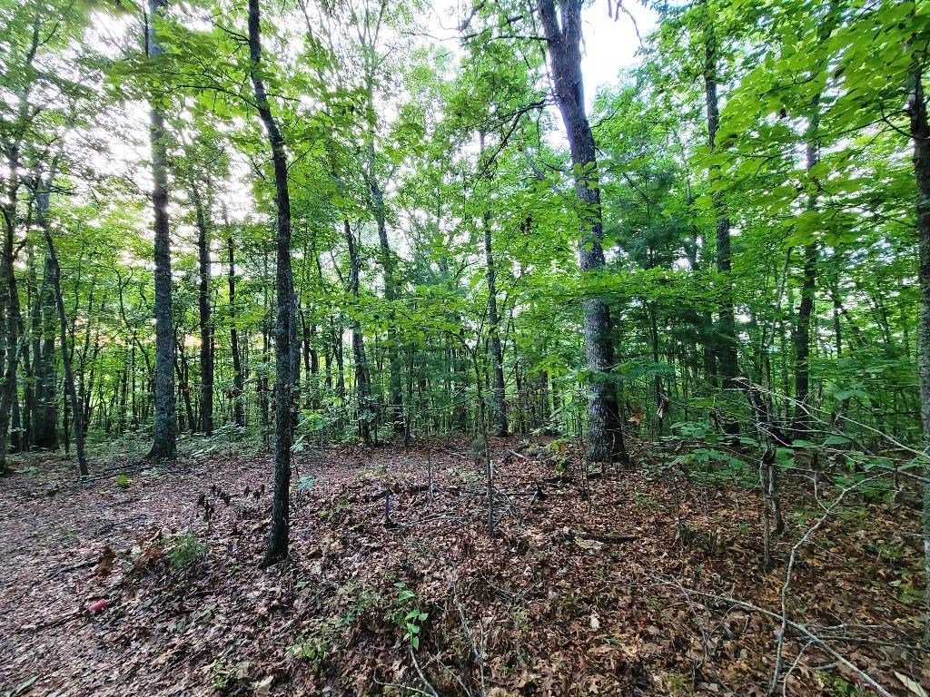 Lot 21 Rye Field Rd Property Photo 14