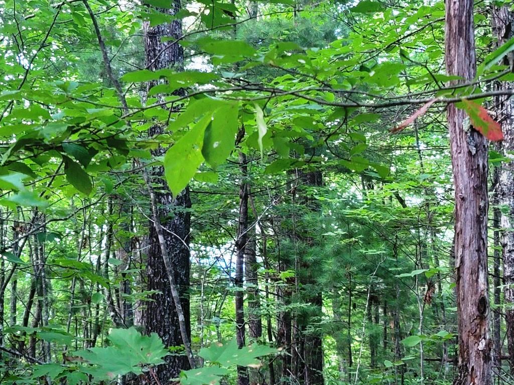 Lot 21 Rye Field Rd Property Photo 15