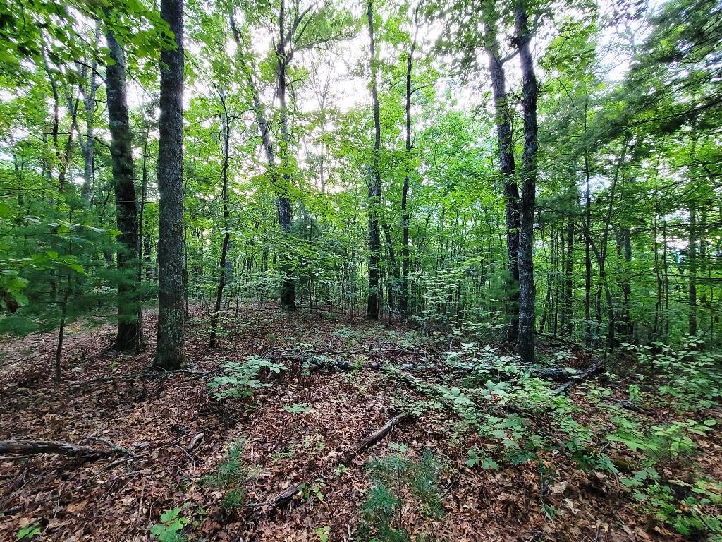 Lot 21 Rye Field Rd Property Photo 16