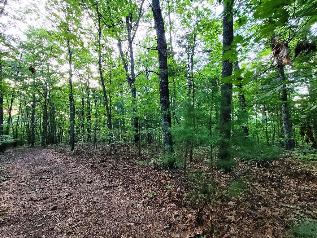 Lot 21 Rye Field Rd Property Photo 17