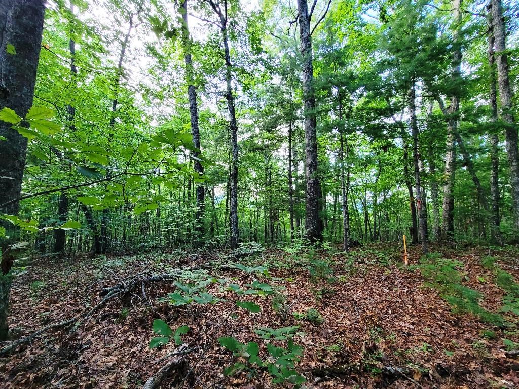 Lot 21 Rye Field Rd Property Photo 18