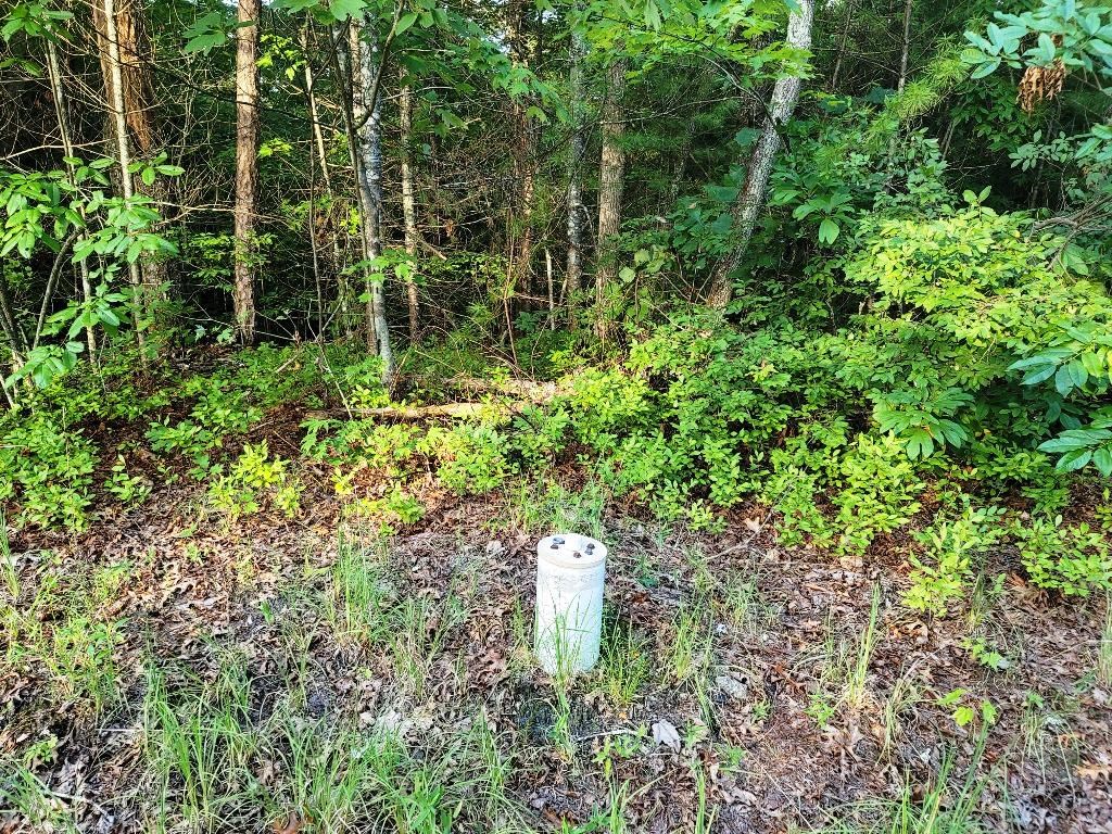 Lot 21 Rye Field Rd Property Photo 19