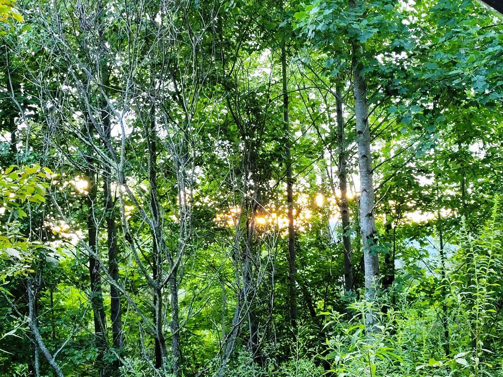 Lot 21 Rye Field Rd Property Photo 20